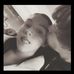 Adriana Bodden - Facebook