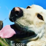 Boga Adrian - @adrian.boga_ - Instagram