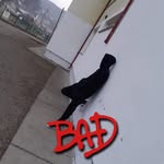 Bogatoiu Adrian - @adrianbogatoiu13 - Instagram