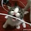 Adrianna - @adriannabohannon - TikTok