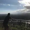 Adrian Bollinger - @adrianbollinger8 - TikTok