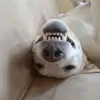 Bolt Teneta - @boltyadrian - TikTok