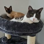 Adrian Bolton - @adrian.bolton.71 - Instagram