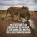 Adrian Bonini - Facebook