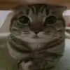 ADRI-BOOM - @adrian.boom - TikTok