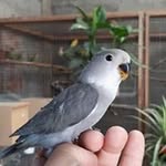 Adrian Borda Bozana - @adrian_bozana43 - Instagram