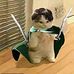 Adrian Borden - Facebook