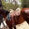Adrian Borroel Vidau - @adrianborroelvidaurri - TikTok