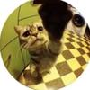 adriana.bossert - @adrianabossert - TikTok