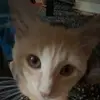 adrian_bradley21 - @adrian_bradley210 - TikTok