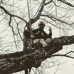 Adrian Bradley - @treeways - Instagram