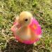 Adrian Brady - Facebook