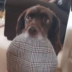 Adrian Brammer - @adrian.brammer - Instagram