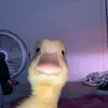 Adrian Briones - @adrian.briones27 - TikTok