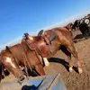 Adrian Briones - @adrianbriones26 - TikTok