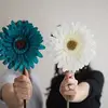 Adriana Britton - @adrianabritton - TikTok