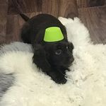 Adrian Bucur - @adrian_bucur100 - Instagram