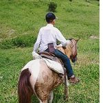 Adrian Bueno - @adrianbuenodepaulamateus - Instagram