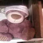Adrian Burton - @adrian.burton.7923 - Instagram