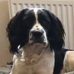 Adrian Bussell - @busselladrian - Instagram