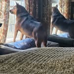 Adrian Byron - @quickerakb2 - Instagram