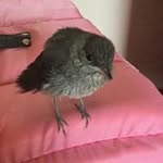 Adrian Cabadas Ruiz - @adriancabadasruiz - Instagram