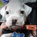 Adrian Cabe - Facebook