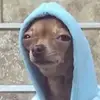 Adrian Cabrera - @adriancabrera41 - TikTok