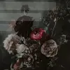 adrian_cadena0 - @adrian_cadena0 - TikTok