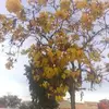 adriancadena07 - @adriancadena07 - TikTok