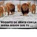 Adrian Cadillo - Facebook