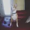 Adriancakes - @itsadrian7life - TikTok