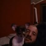 Adrian Cala - @adrian_calamanciuc - Instagram