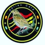 adrian cala - @adriancala - Instagram
