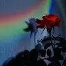 Adrian Cala - @adriancala3 - TikTok