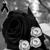Adrian Cales - Facebook