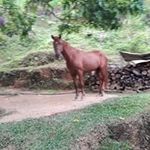 Adrian Calvillo - @adrian.calvillo.129 - Instagram
