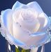 Adriana Calvillo - Facebook