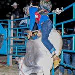 Adrian Camacho - @adrian_camacho551 - Instagram