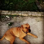 @adrian_canadasgonez - Instagram