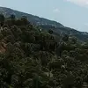 Adrián capellan RD - @dai_dino - TikTok