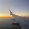 Adriana - @adriana_cardinals_1 - TikTok