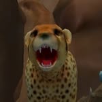 Adrianna Cardinal - @cardinaladrianna - Instagram