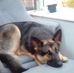 Adrian Carney - Facebook
