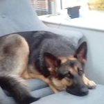 Adrian Carney - @adrian.carney1660 - Instagram