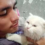 Adrian Carpio - @myte.b.x_drian - Instagram
