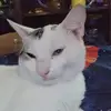 Adrian Carpio - @adrian.carpio17 - TikTok