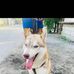Adrian Carreon - Facebook