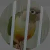 Adrian Carrera - @adrian.carrera57 - TikTok