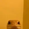 We will be together - @adrian.costanza98 - TikTok